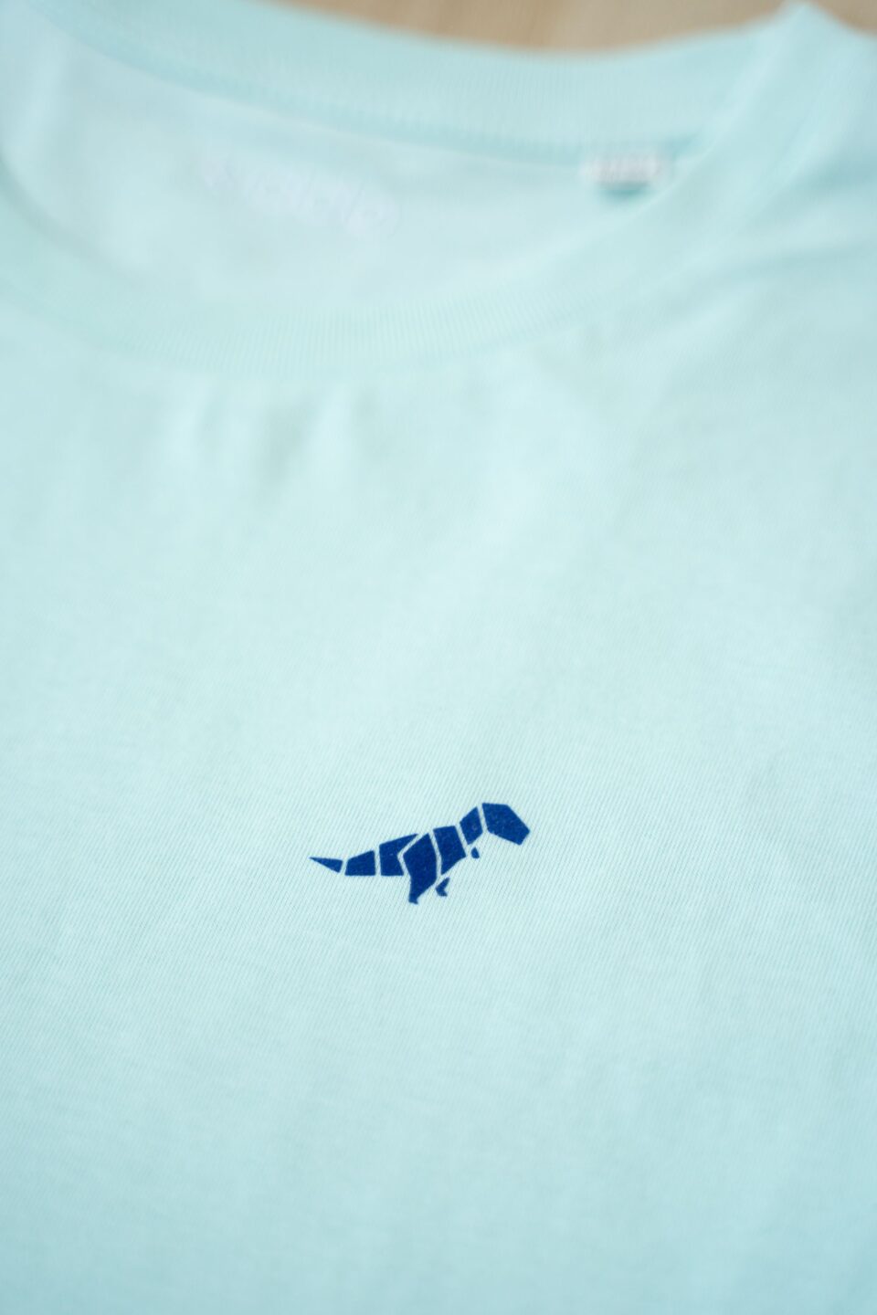 Kiddo_Kids Shirt_Minimal_Tropical Blue_T-rex